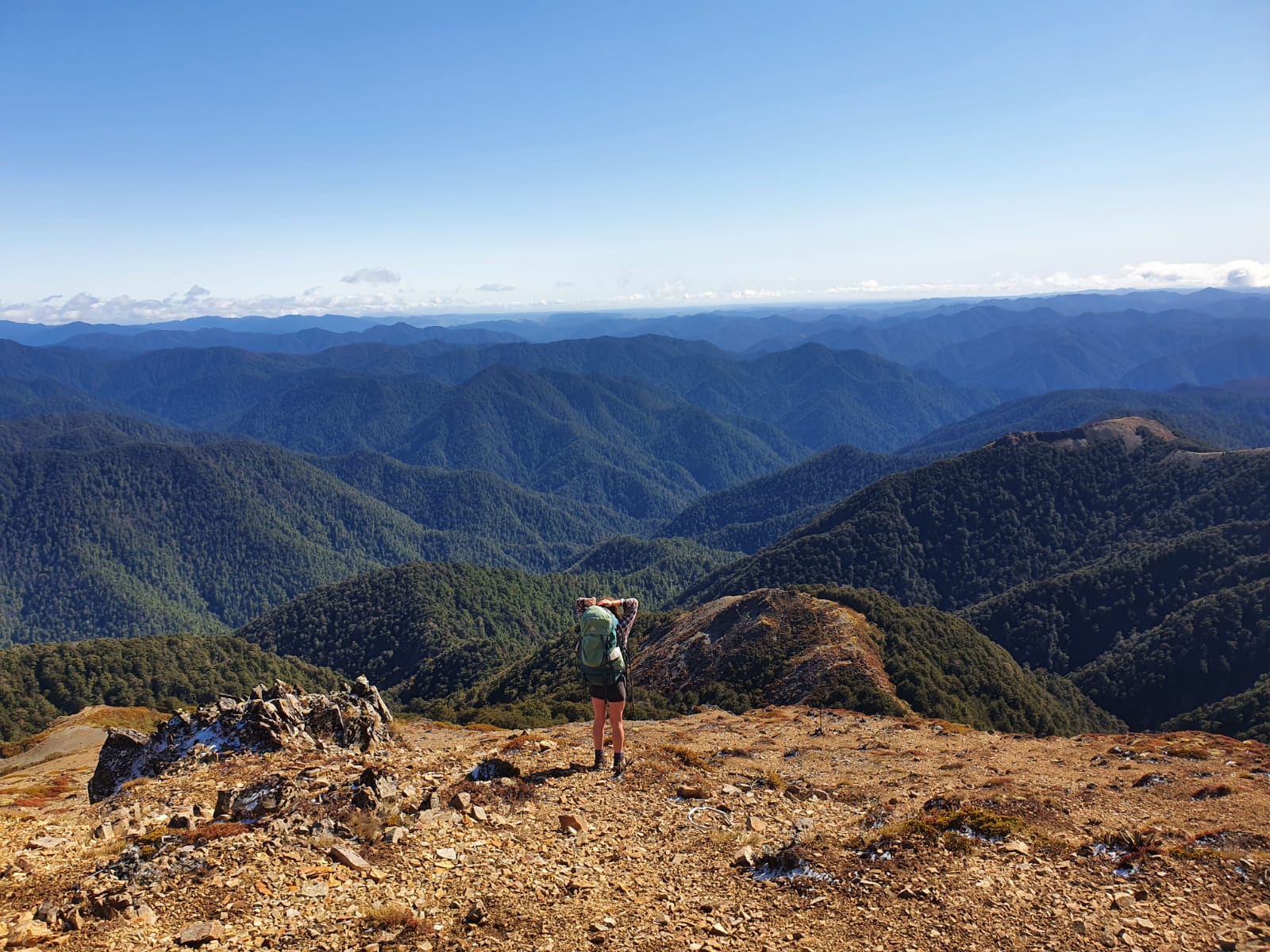 Hiker looking out over the Kaweka Range