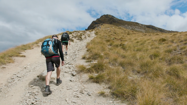 Ben Lomond Track is a popular day walk that requires fitness and planning