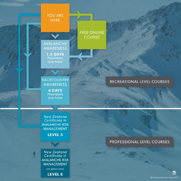Avalanche safety training flowchart outlining recreational and professional courses