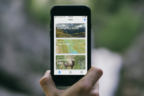 Thumbnail of Fiordland Wapiti App