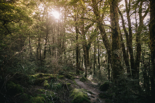 Gillespie Pass | Young Adventuress