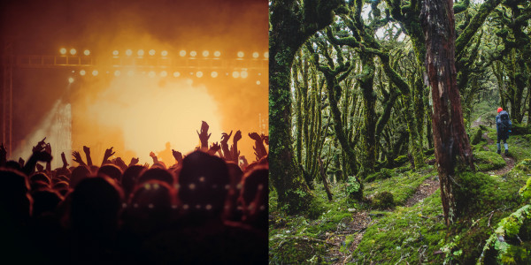 Crowds vs being in the bush