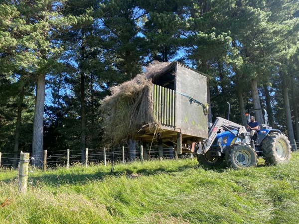 Shifting the maimai for a fresh perspective this season. PHOTO/JOSH MURRAY