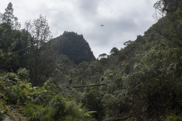 Kauaeranga Kauri Trail (Pinnacles Walk)