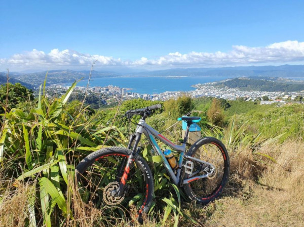 Marli out in the Polhill Reserve, Wellington.&amp;amp;amp;amp;amp;amp;amp;amp;amp;amp;amp;amp;amp;amp;amp;amp;amp;amp;amp;nbsp;