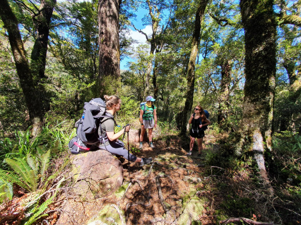 Tramping Tararua Ranges