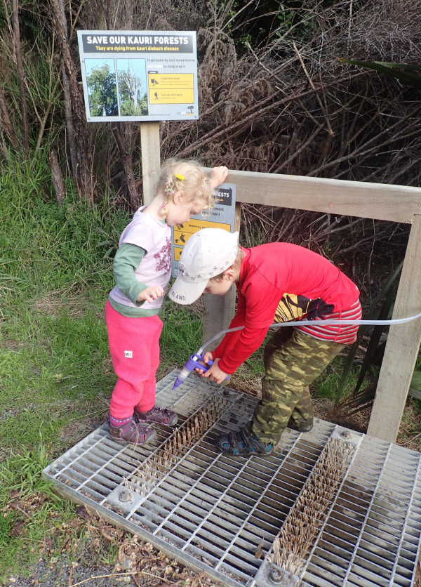 Meg Drive family first overnight tramp kauri