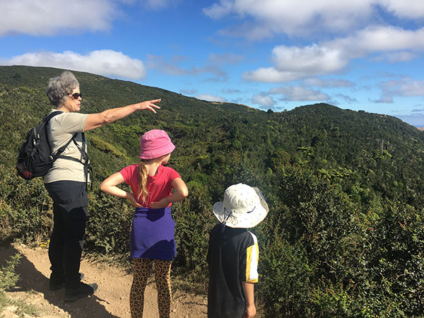 Mt Kaukau, Wellington