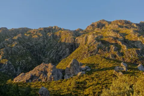 Thumbnail of Mt Somers