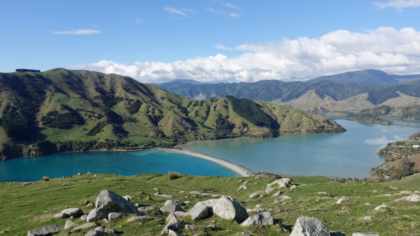 Cable Bay Walkway, Tom Harris