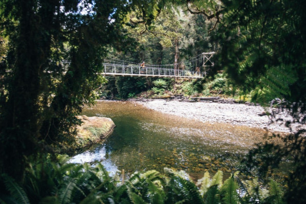 NZ river and bridge | Young Adventuress