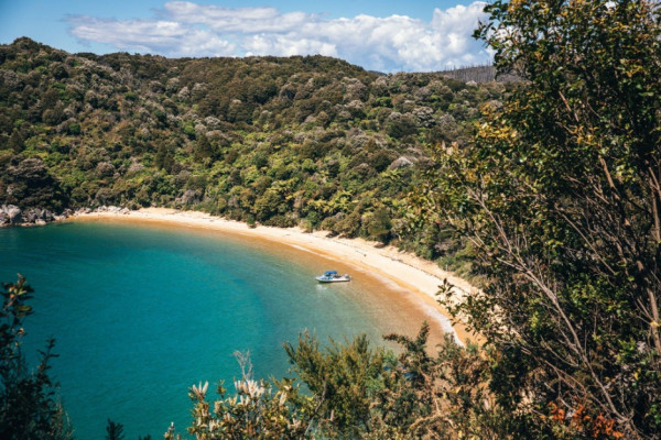 NZ summer tracks | Young Adventuress