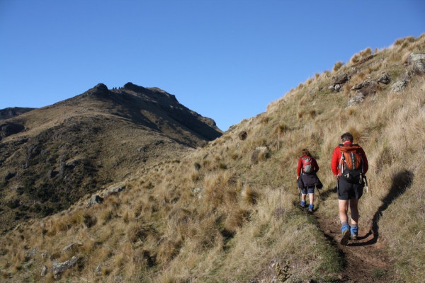 Packhorse Hut, Christchurch