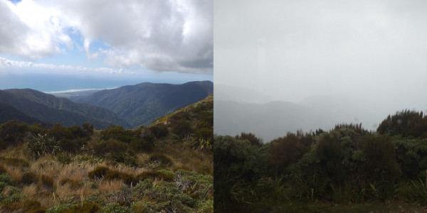 Paparoa weather before and after | Ros Wells