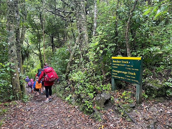 Nathan Watson Orongorongo Track