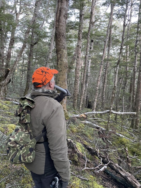 Fiordland Wapiti Foundation (FWF) General Manager Roy Sloan stalking red deer in the Eyre Mountains in the Taka Ra Haka Conservation Park, Southland.