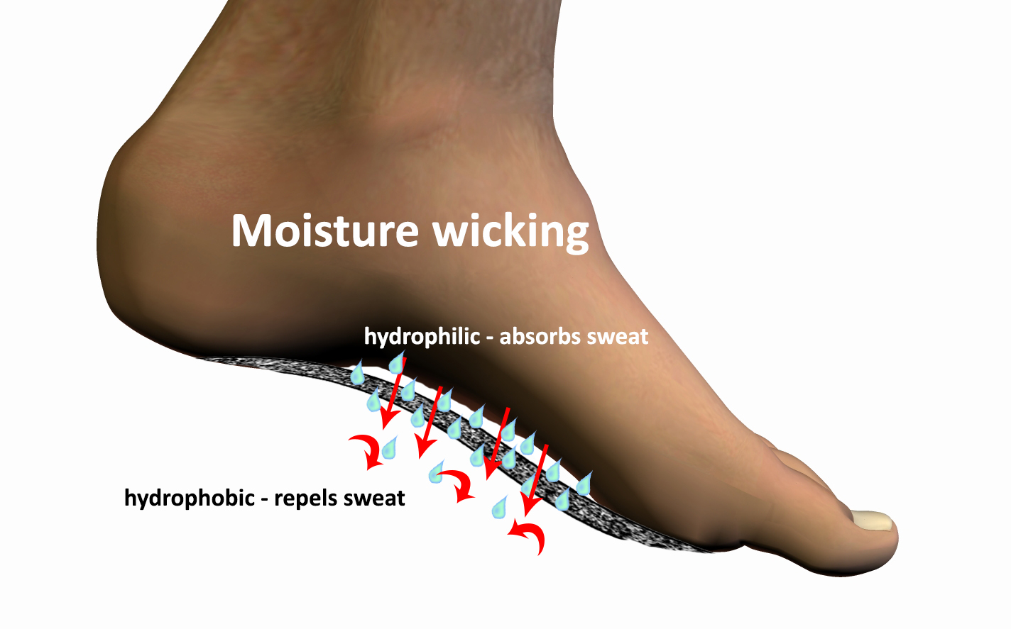 Moisture wicking diagram