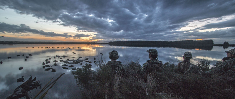 Duck hunters at dawn - HC
