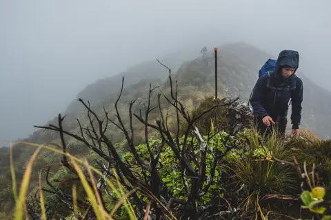 Thumbnail of Powell hut | Reuben