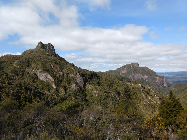 Pinnacles from Webb Creek Track