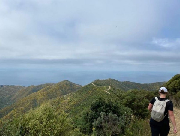 Beckie exploring the hills in Wellington