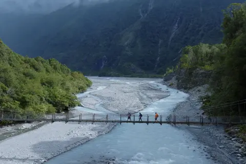 Thumbnail of Roberts Point Track Bridge CREDIT NZMSC