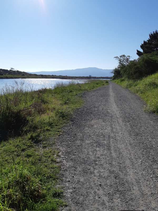 Sarah Topliff, Waikanae River