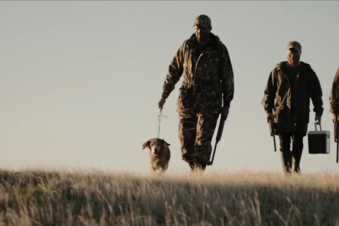 Thumbnail of Game Bird