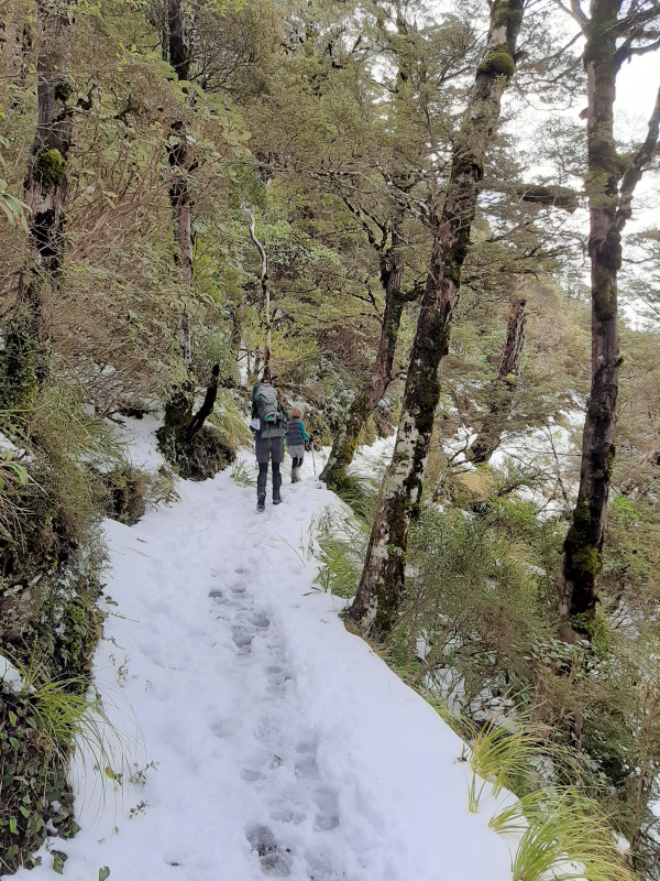 The Sunrise Track in early October snow