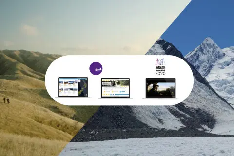 Thumbnail of TVNZ Marketing Awards Media Release