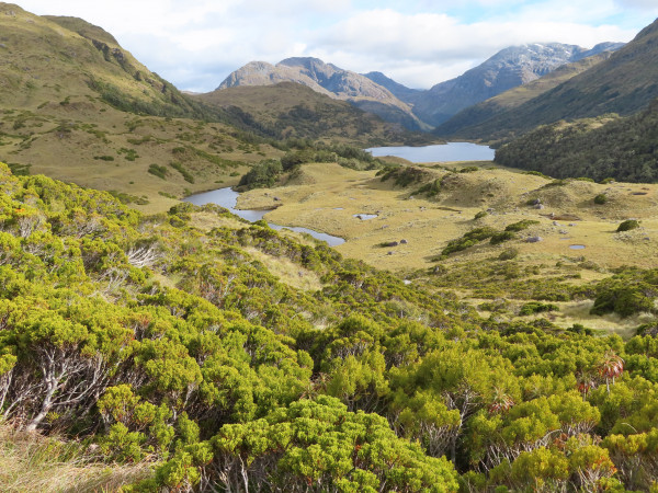 Tarns on the way down from the Lake Roe plateau.&amp;amp;amp;amp;nbsp;PHOTO/ANDY REID