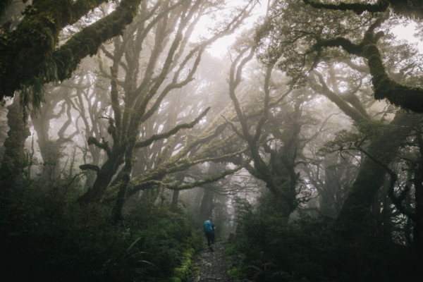 Tramping in NZ | Young Adventuress