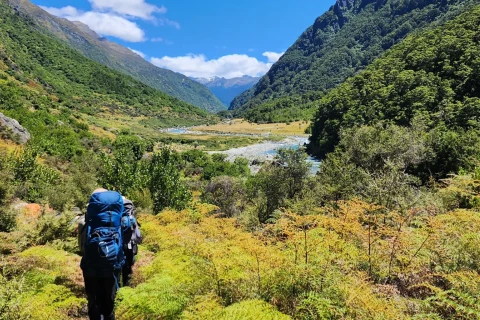 Thumbnail of Albert Burn Hut Track | CREDIT Matt Ward Plan My Walk