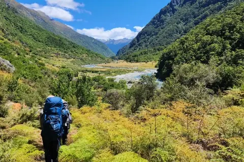 Thumbnail of Albert Burn Hut Track | CREDIT Matt Ward Plan My Walk