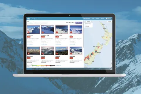 Thumbnail of Avalanche v2.net.nz website August 2017