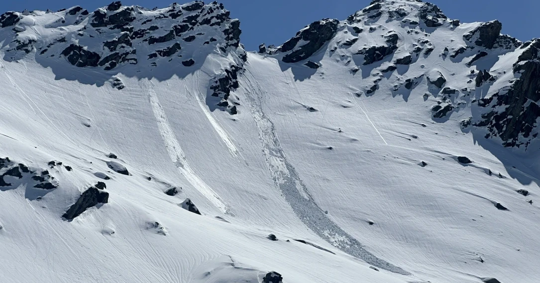 Avalanche — NZMSC