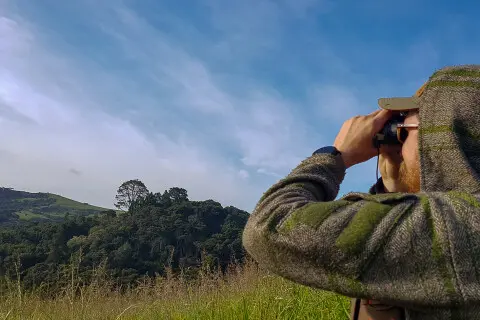 Thumbnail of Binoculars | Kerry Adams
