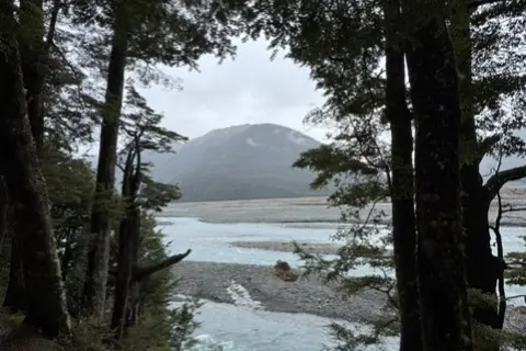 Thumbnail of Carrington Hut Route river CREDIT Alle