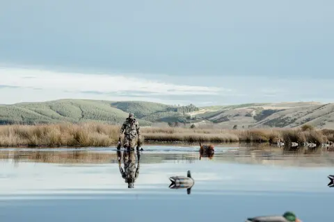 Thumbnail of Duck2025.CREDIT CasoCreative