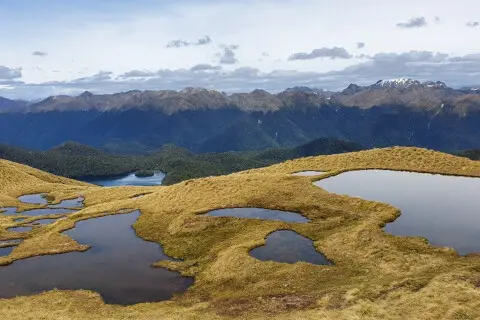 Thumbnail of FRD.Mt Burns Tarns Track.C Brindle