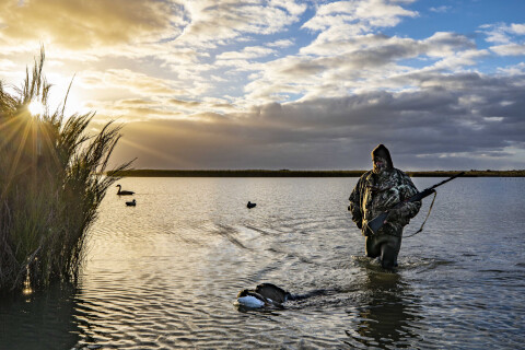 Thumbnail of Fish and Game NZ | Duck Hunter
