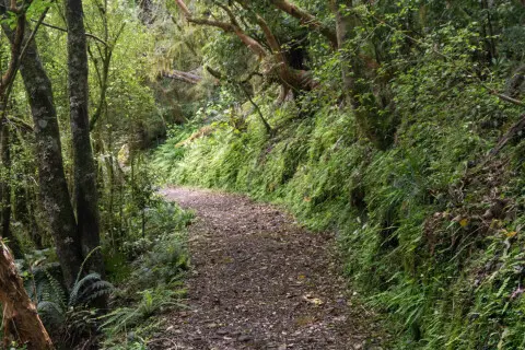 Thumbnail of Forks Flat Track, Alice Adventuring