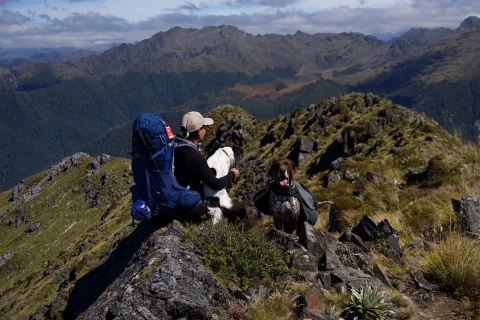 Thumbnail of Gale Riko The Dog Adventure 1