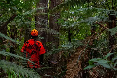 Thumbnail of Hunter in High vis Kerry Adams v2