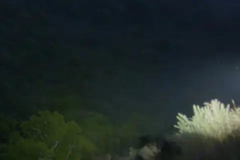 Thumbnail of Hunters using spotlight at night | NZ Hunters Club