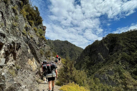 Thumbnail of Jenny Mitchell Tramping