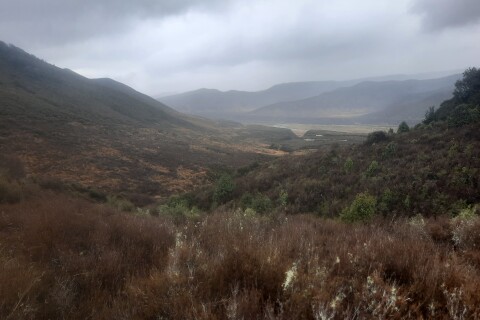 Thumbnail of Kaimanawa Ranges.CREDIT Bruce Gulley