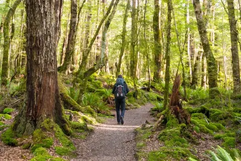 Thumbnail of Kepler Track