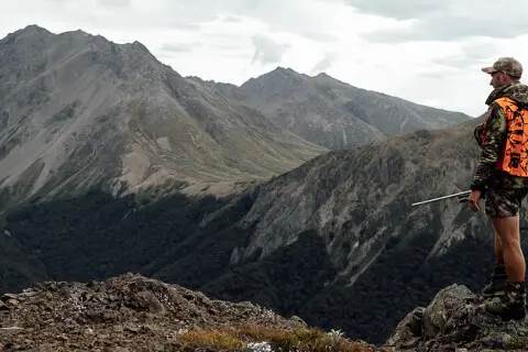 Thumbnail of Roar | Hunter on ridge