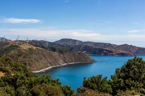 Thumbnail of Makara Walkway | Marli Wingens